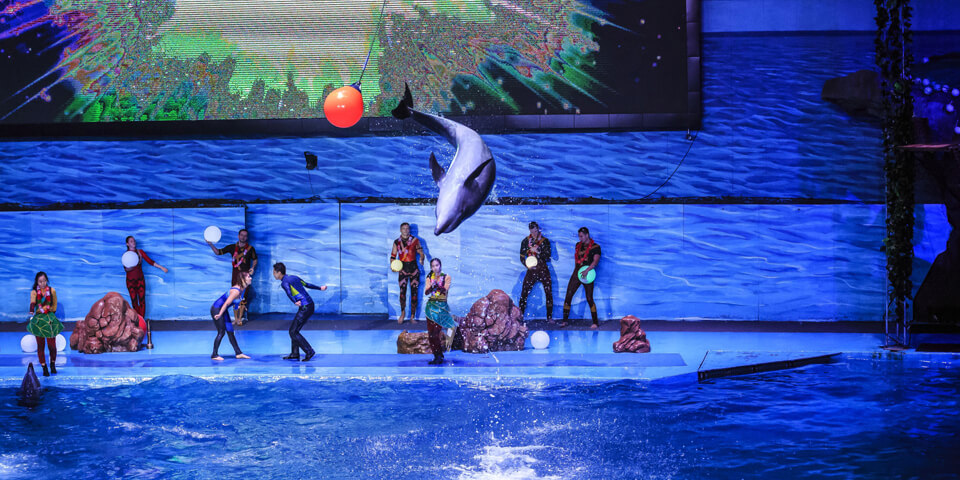 主題樂園解決方案